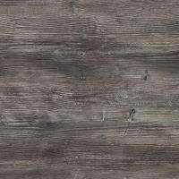 FS1486 W2 Сосна Пасадена