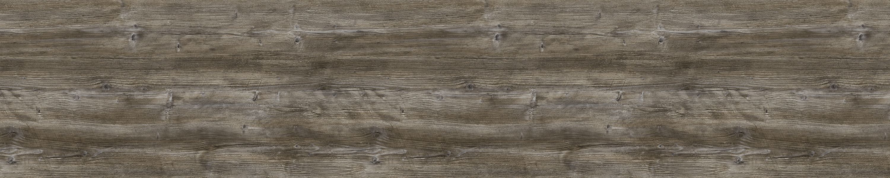 Сосна пондероса 2057/M