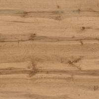 FS2220 W1 Дуб Торрес