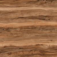 FS1490 W5 Слэб карамельный