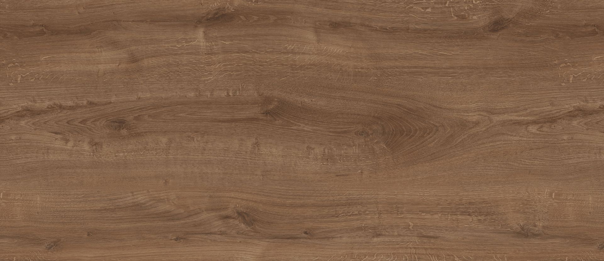 FS1212 W5 Дуб скальный