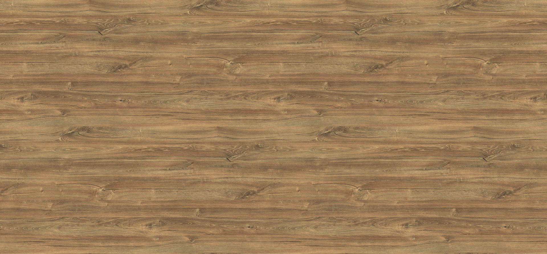 FS1111 W2 Дуб крымский