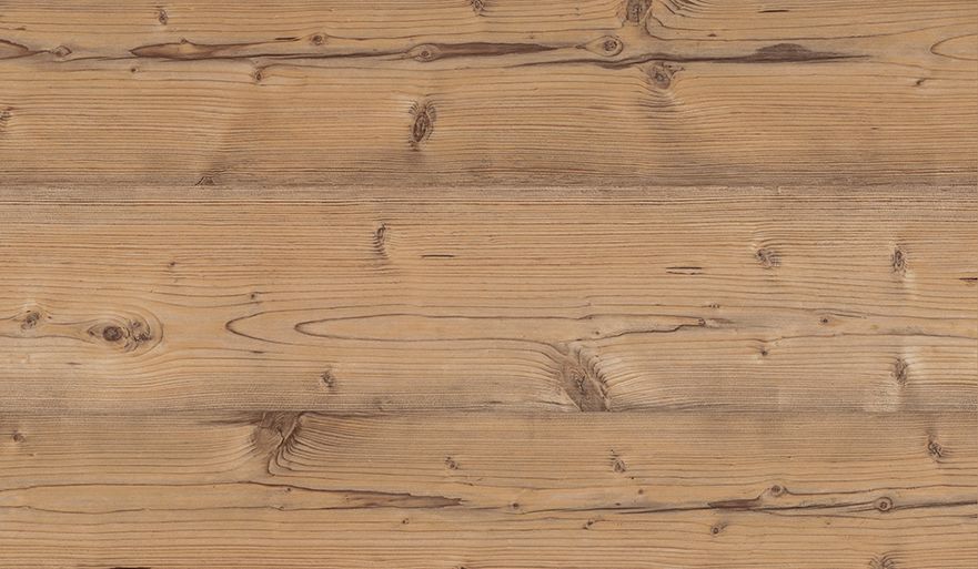 FS1487 W3 Пихта Брамберг