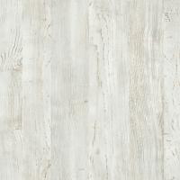 Сосна Винтерберг 547 WML