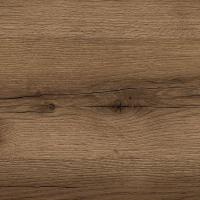 FS2021 W1 Дуб Бильбао Табак