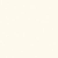 FS980 B1 Платиновый белый