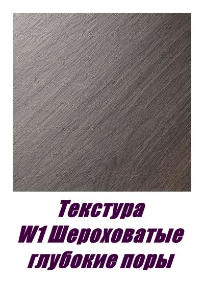 FS2220 W1 Дуб Торрес