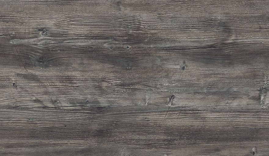 FS1486 W2 Сосна Пасадена