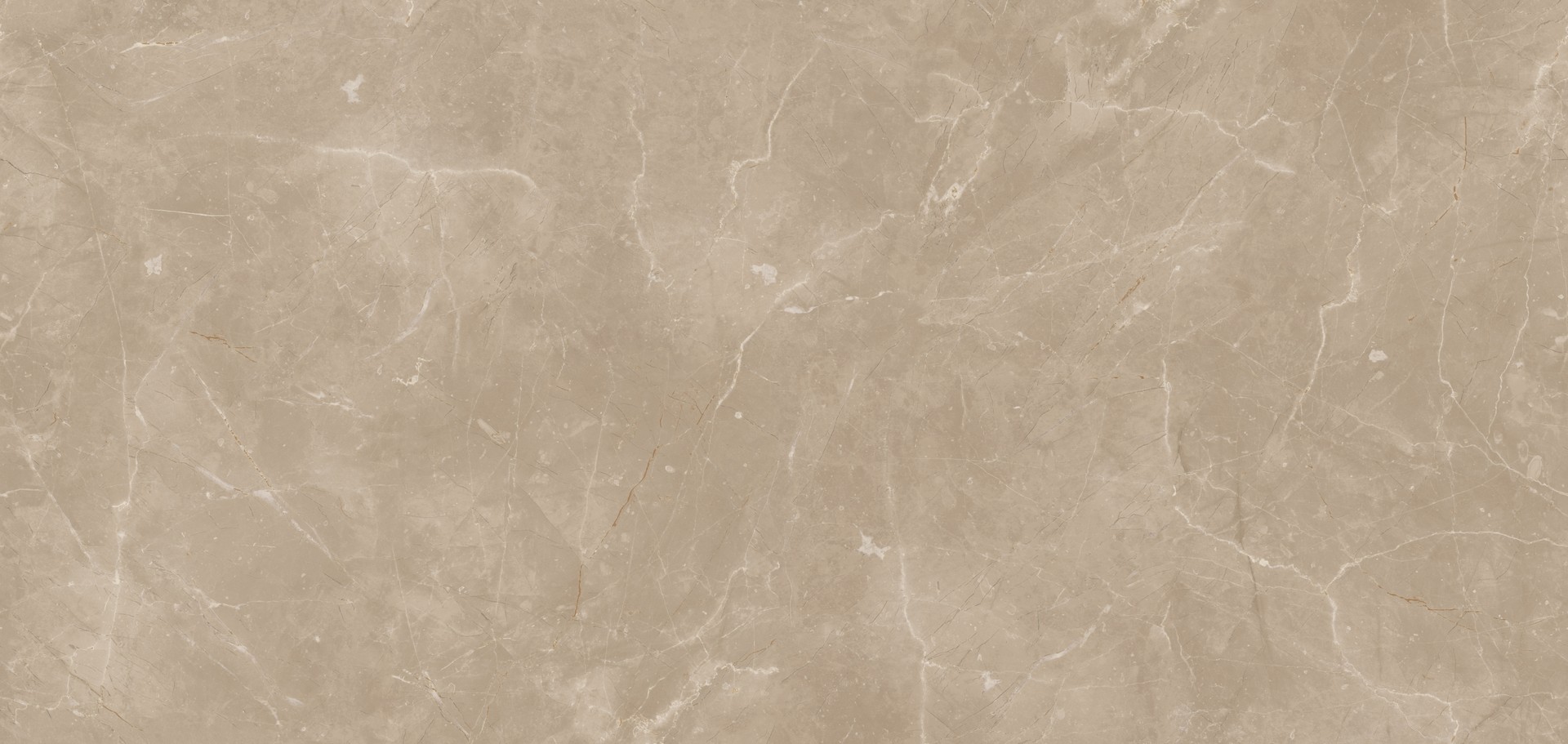 FS113 B2 Сарыкум