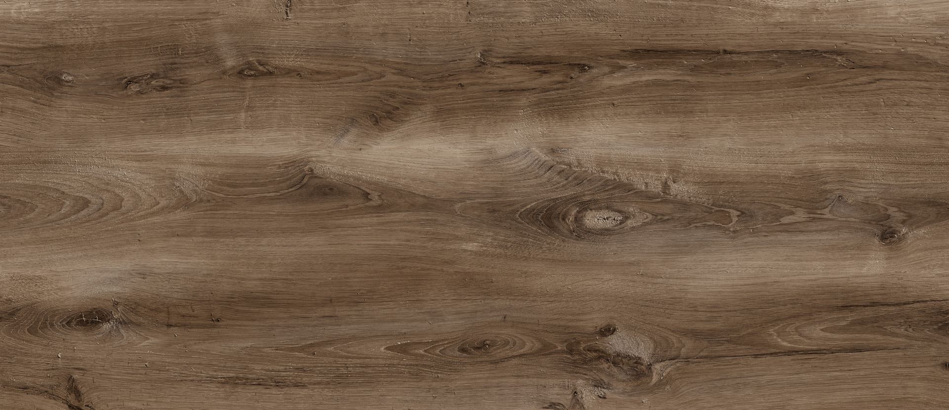 FS1488 W5 Карагач