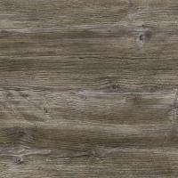 Сосна пондероса 2057/M