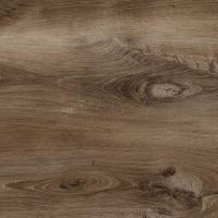 FS1488 W5 Карагач