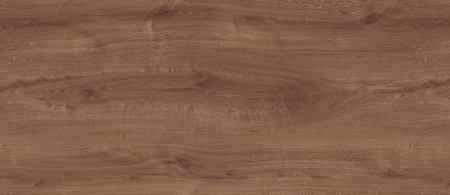 FS1212 W5 Дуб скальный