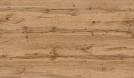 FS2220 W1 Дуб Торрес