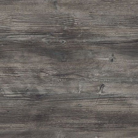 FS1486 W2 Сосна Пасадена