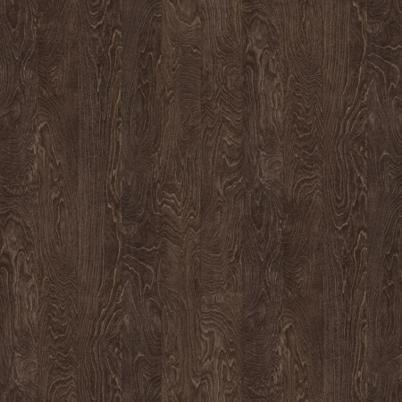 Береза 261 SWN