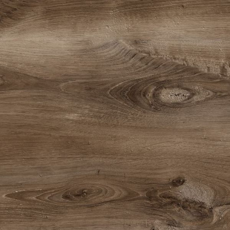 FS1488 W5 Карагач