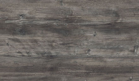 FS1486 W2 Сосна Пасадена