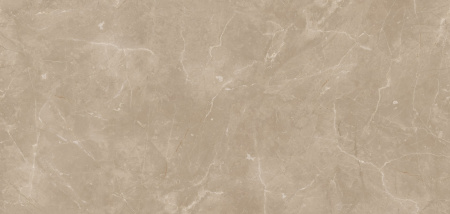 FS113 B2 Сарыкум