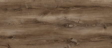 FS1488 W5 Карагач