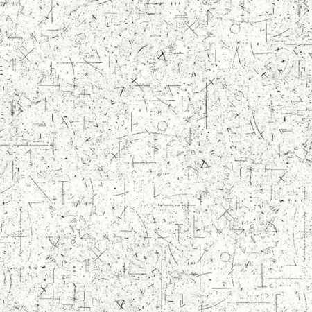 Асимметрия 2919/S