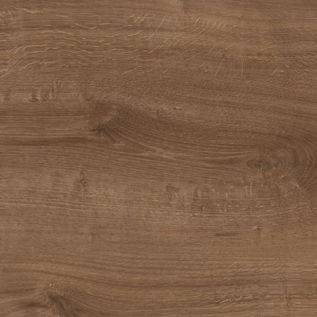 FS1212 W5 Дуб скальный