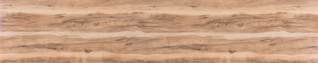 Индийское дерево 690/P